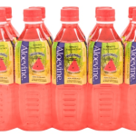 AloeVine Watermelon 10pk 16,9oz