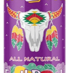 Arizona Fruit Punch 24 Pk 22 Oz