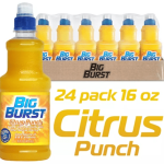 Big Burst Citrus Punch Drinks 16oz 24 pk