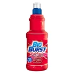 Big Burst Fruits Punch 24Pk 16 Oz