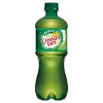 Canada Dry Ginger Ale 24 Pk 20 Oz Pet