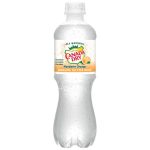 Canada Dry Mandarin Orange Seltzer Water 24 Pk 20 Oz Pet