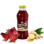 Grace Tropical Rhythms Sorrel Ginger 12 Pk 16 Oz