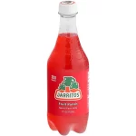 Jarritos Fruit Runch Pet 24 Pk 17,7 Oz