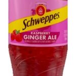 Schweppes Ginger Ale Raspberry 24 Pk 20 Oz Pet